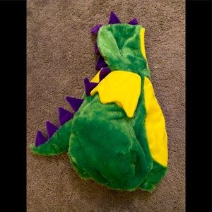 Dragon Costume